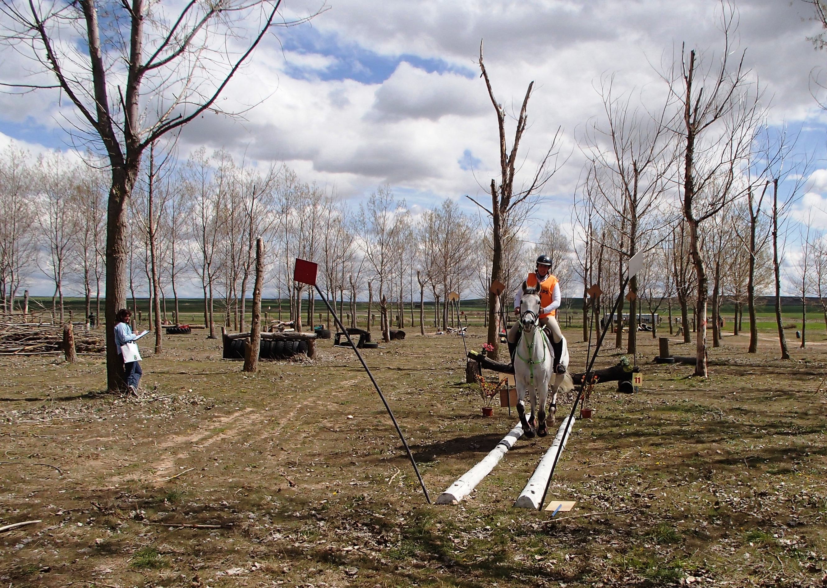 Éxito deportivo de los Navarros en el Concurso Internacional ** Alta Moraña celebrado en Riocabado